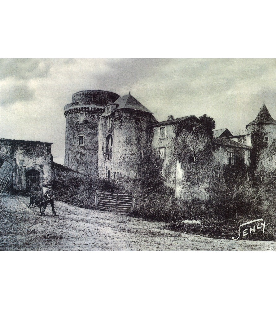 Carte postale fin XIXe siècle Château de Saint Mesmin