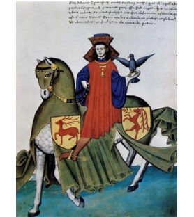 Carte Le fauconnier, du Codex Capodilista