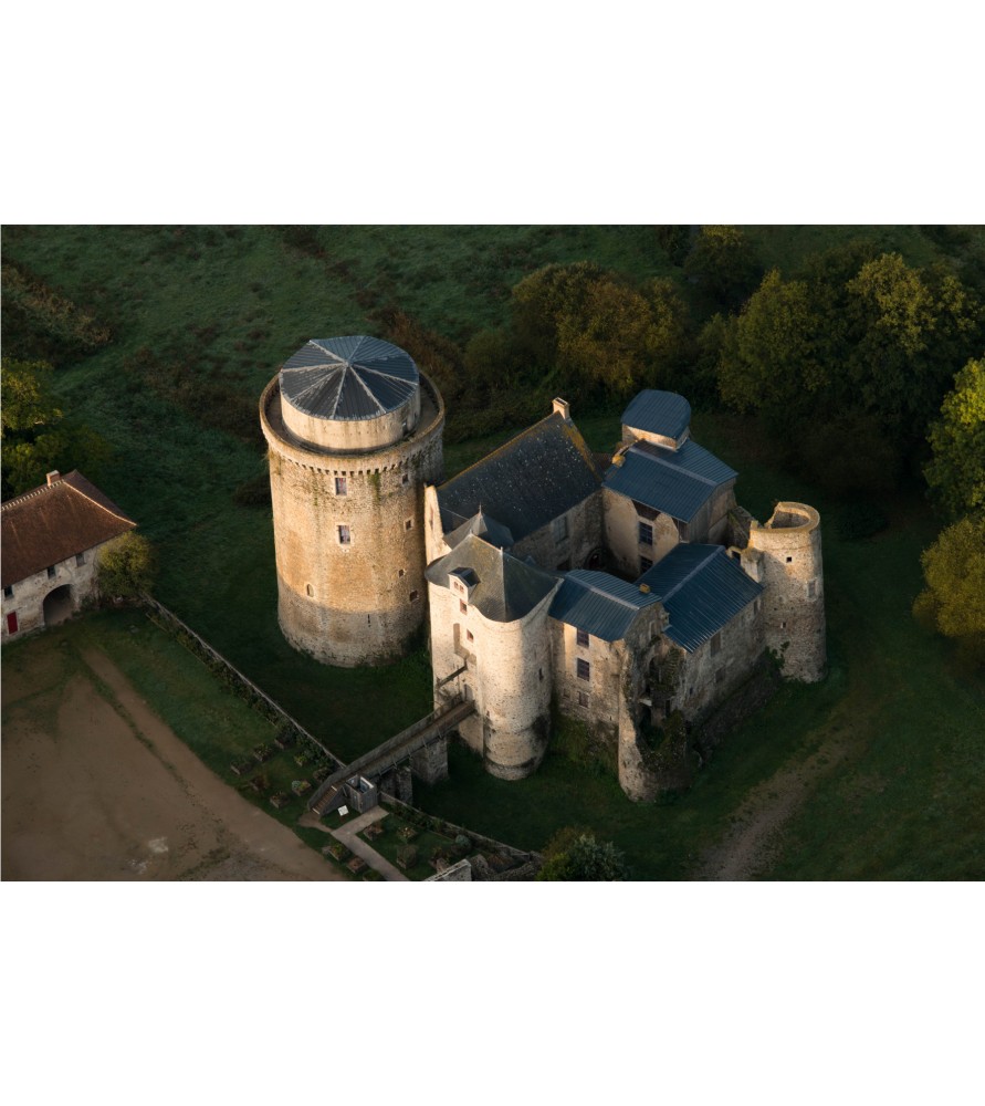Carte postale Château Saint Mesmin