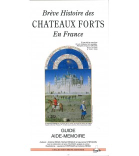 Brève histoire des Châteaux Forts - Antoine Régo, Michel Renaud et Laurence Stéfanon