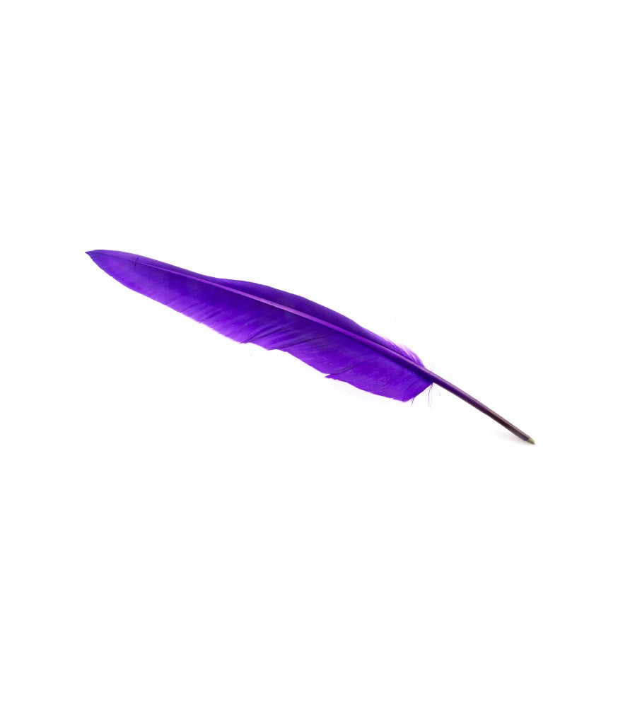 Stylo à bille plume violette