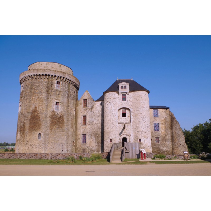 Carte postale Château de Saint Mesmin